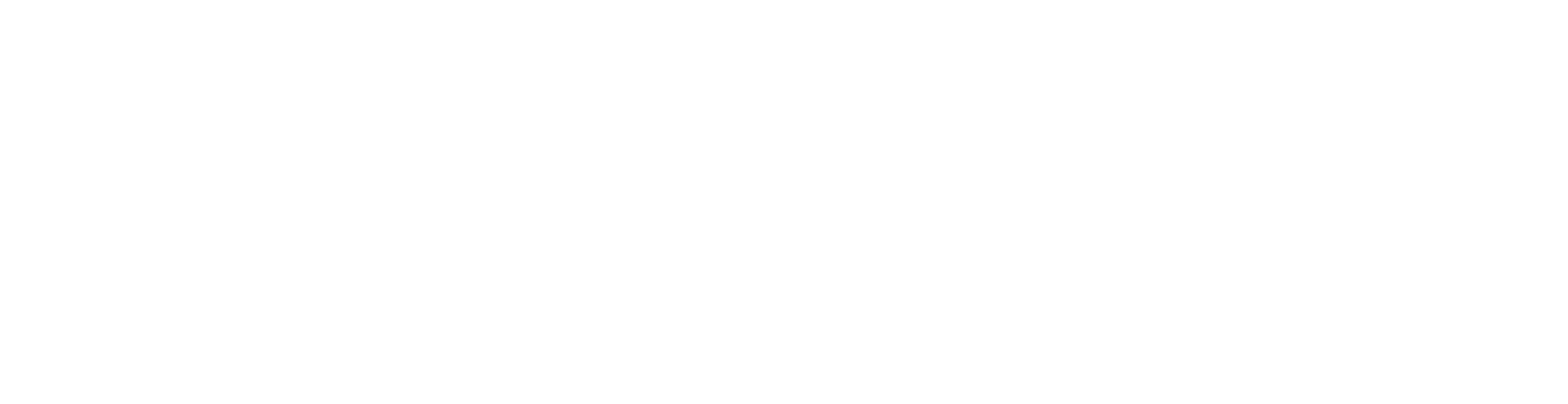 Valleysoft Logo